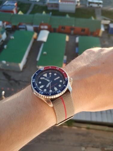 Skx009 nato online strap