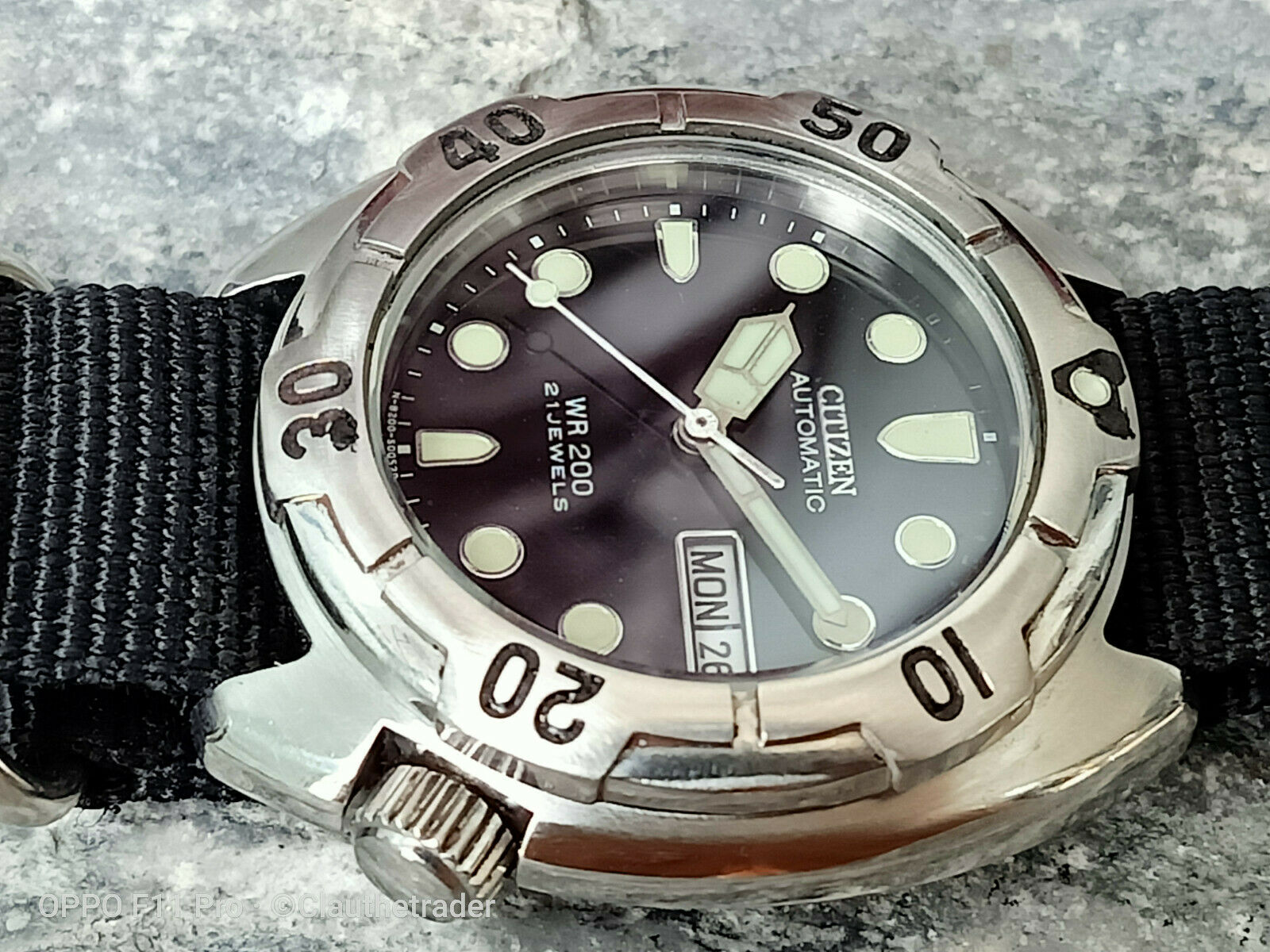 Citizen deals dolphin diver