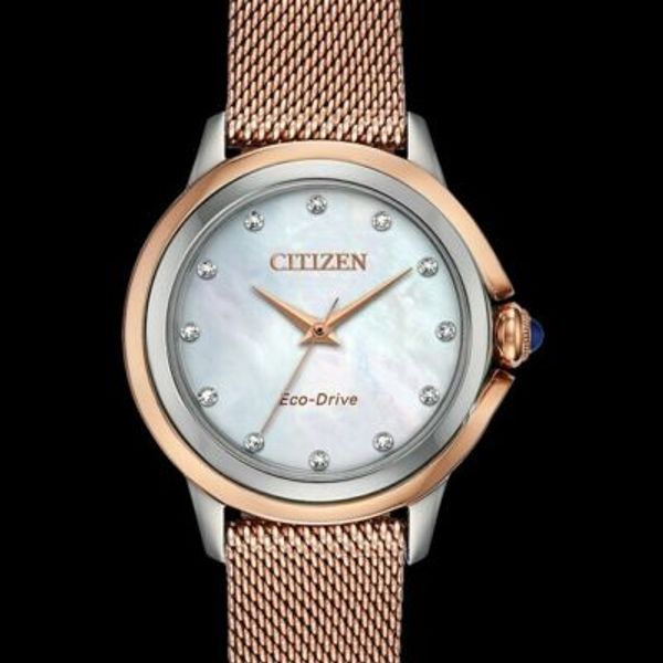 citizen ceci watch