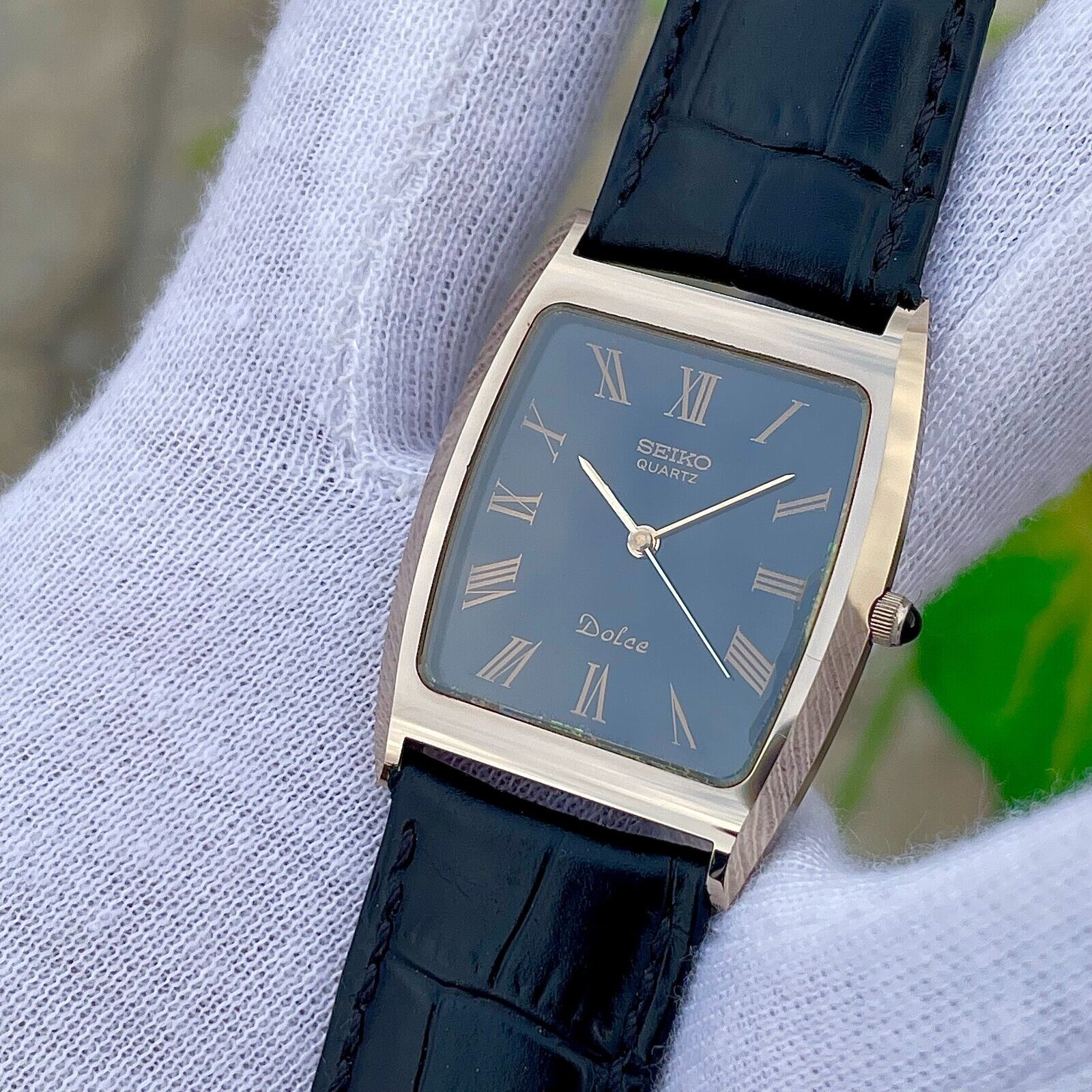 1981 Seiko Dolce Tungsten NSAG Rare Black Dial Quartz Men's
