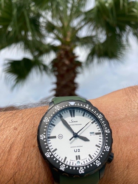 Sinn u2 best sale w limited edition