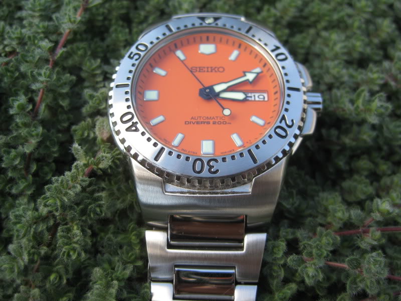 Seiko discount orange knight