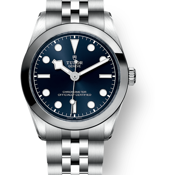 Tudor Black Bay 31 79600 Price as of September 2026 | WatchCharts