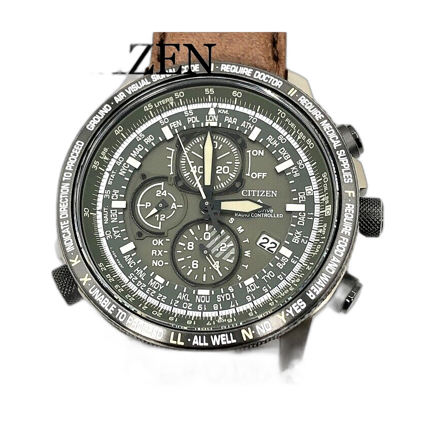 Citizen Promaster Eco-Drive AT8194-11X Price as of May 2026