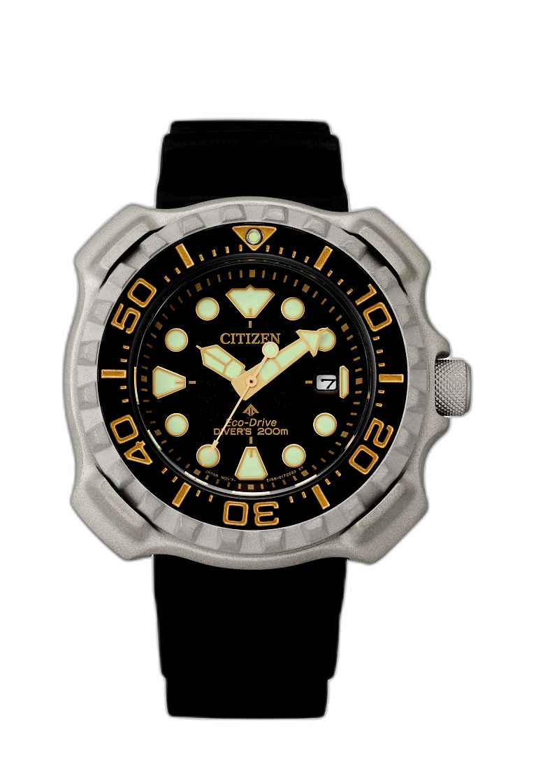 Citizen promaster diver clearance price