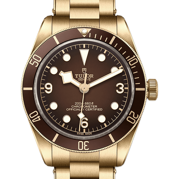 Tudor Black Bay Fifty-Eight Bronze reference photo