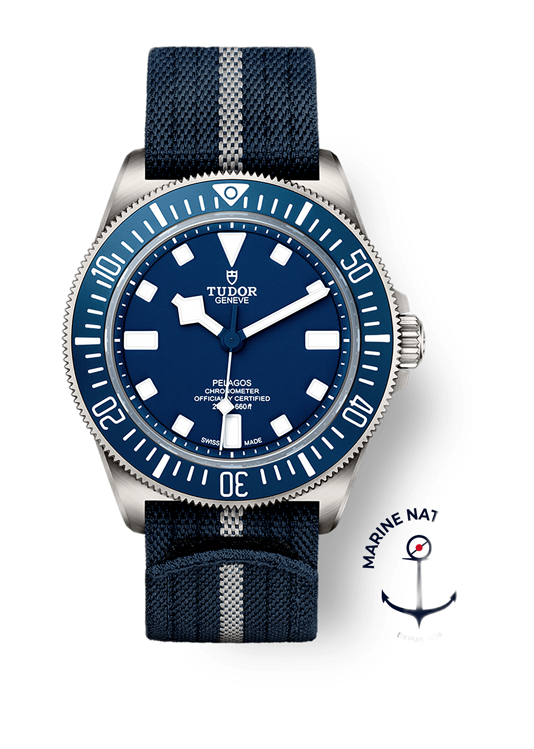 Tudor Pelagos FXD reference photo