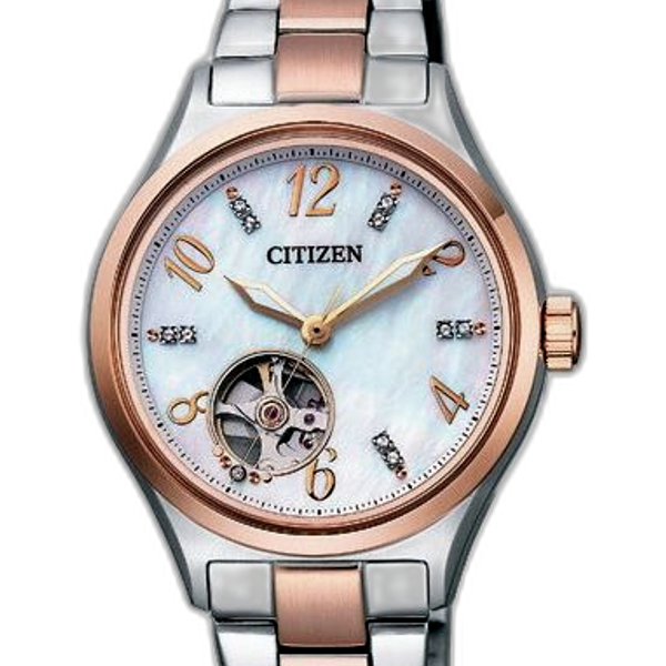 Citizen PC1006-84D Price as of July 2025 | WatchCharts