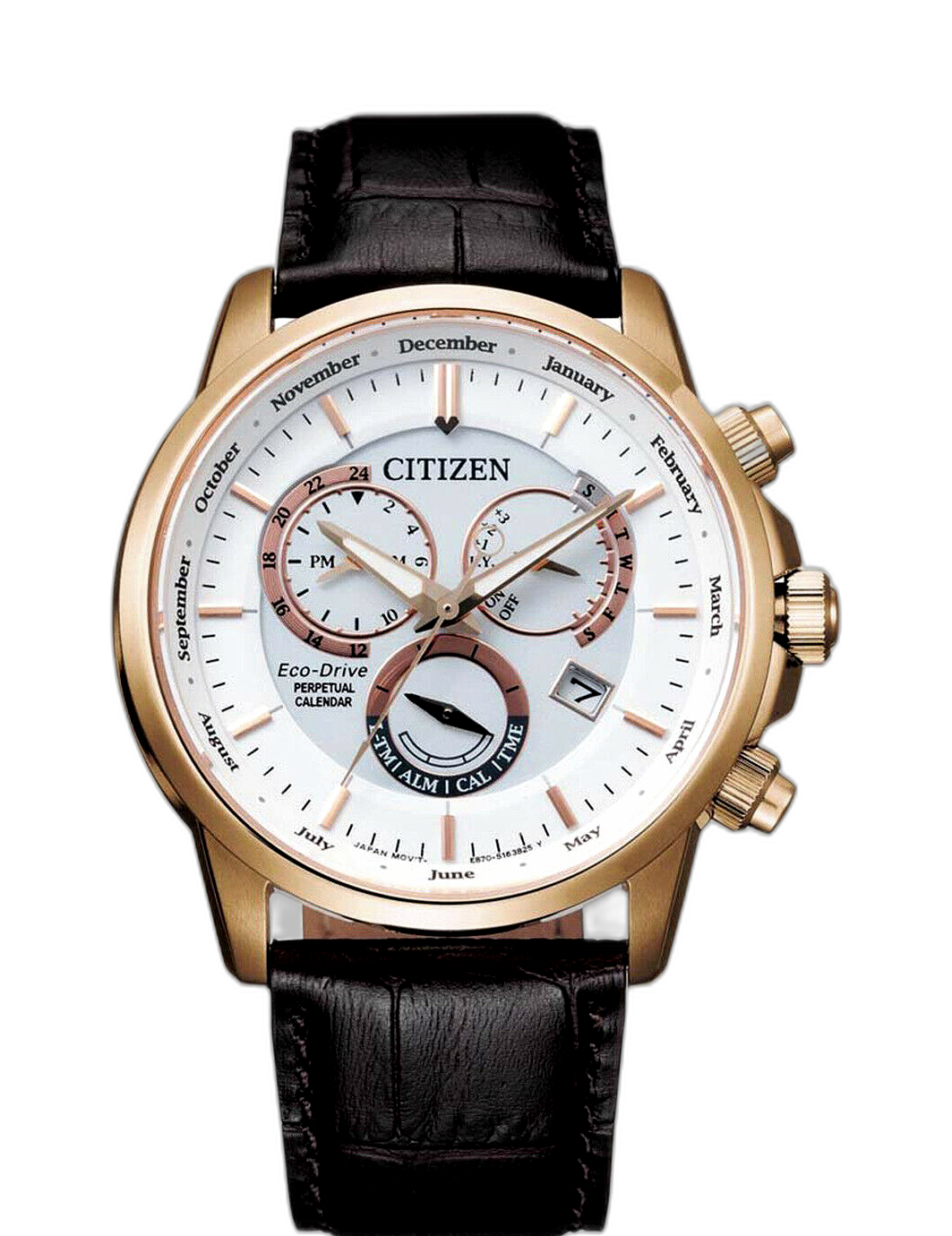 Perpetual calendar clearance citizen