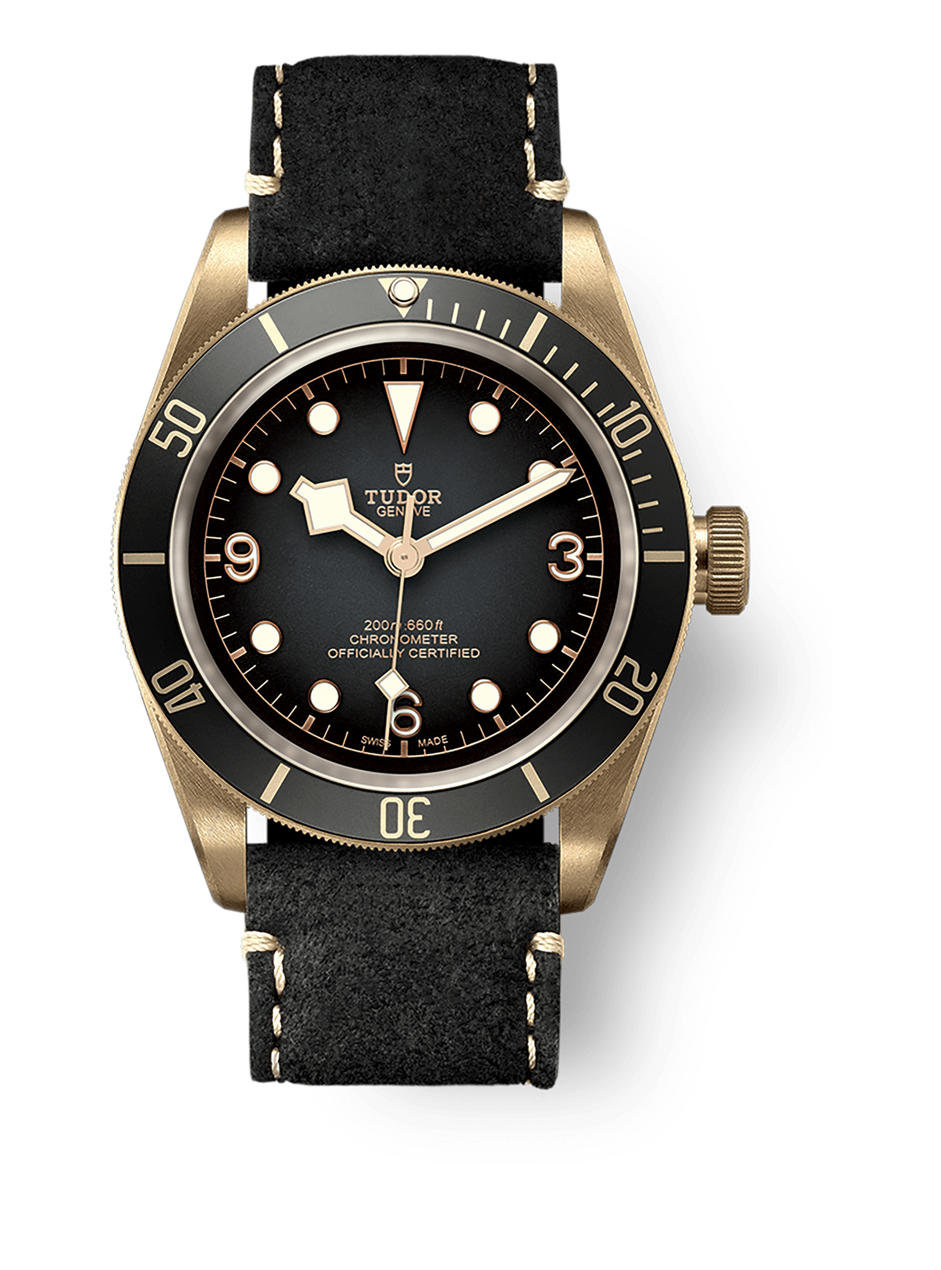 Tudor Black Bay Bronze reference photo