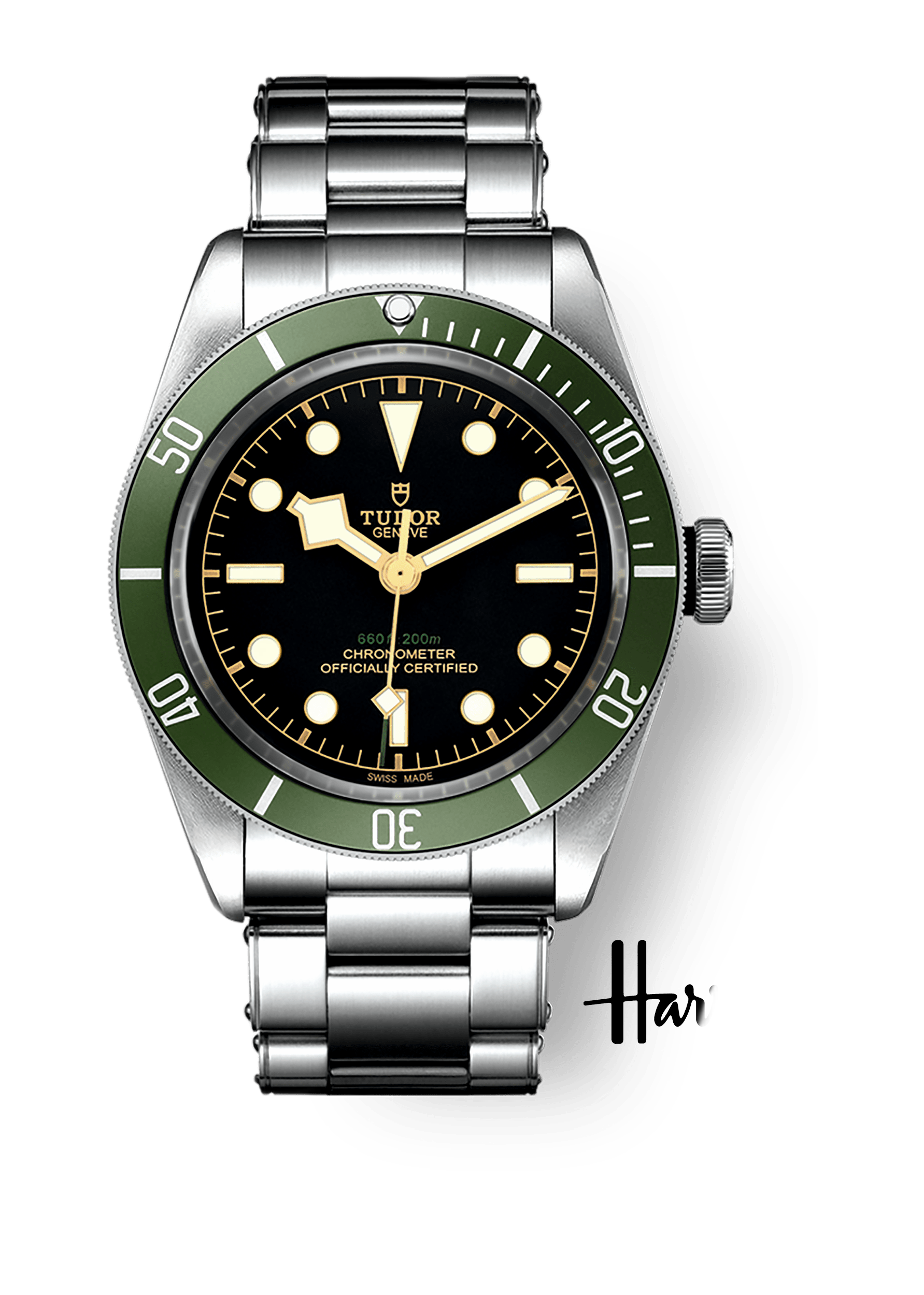 Tudor Black Bay Harrods 79230G Price as of June 2026 | WatchCharts