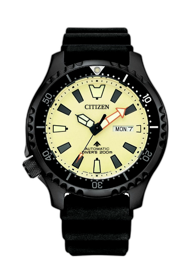 Citizen 2025 fugu limited