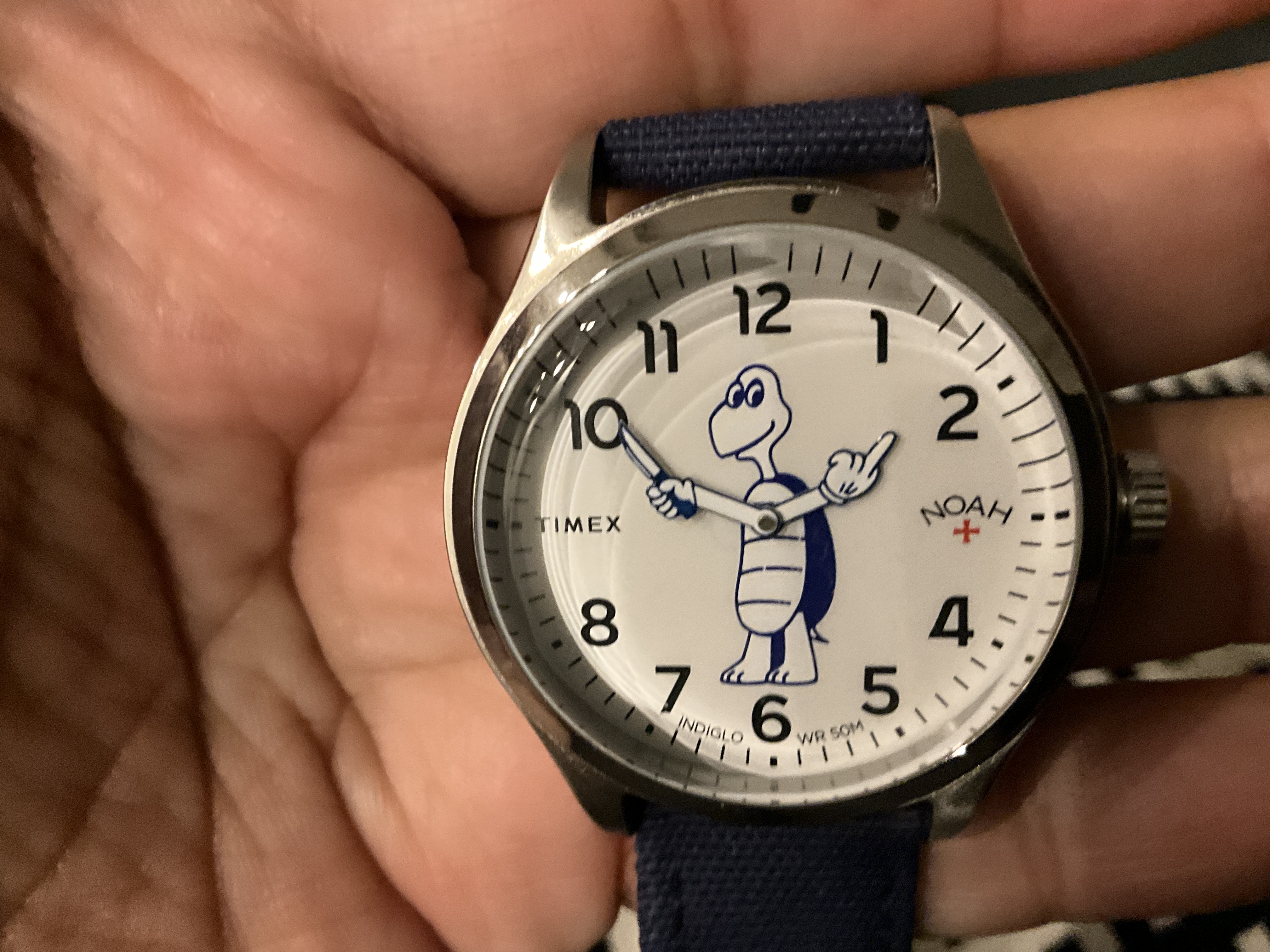 Timex x Noah Watch | WatchCharts Marketplace Timex x Noah Watch | WatchCharts Marketplace